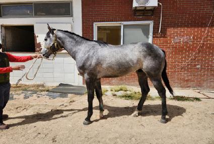 ���ͺ��� ����