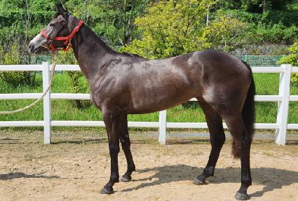 ä���� ����