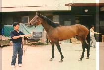 ����� (KYO HYANG AK) ����