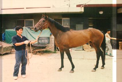 ����� ����