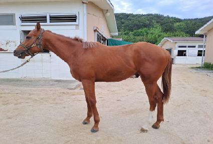 ����õ�� ����