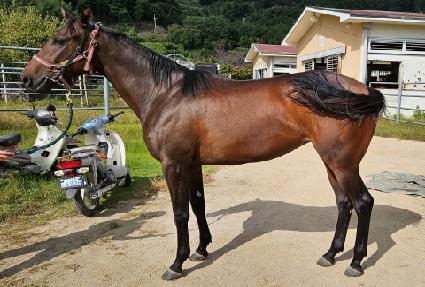 �����̵��̳� ����