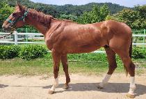 �����¡�ø� (AMAZING CURLIN) ����