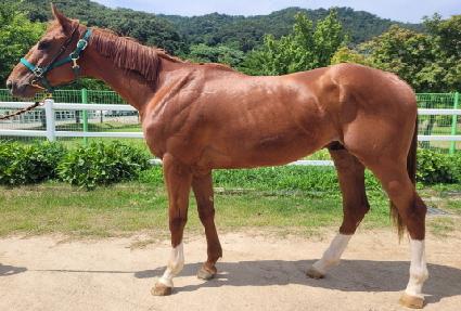 �����¡�ø� ����