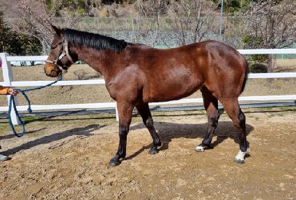 ����ȭ ����