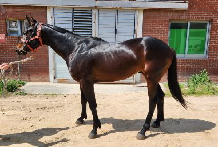 ���弱���� ����