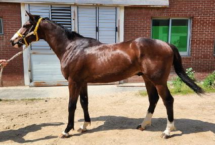 �������ʽ��� ����