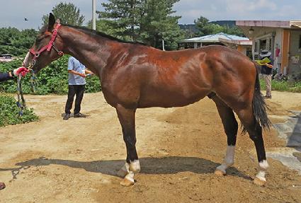 ������ĵ� ����