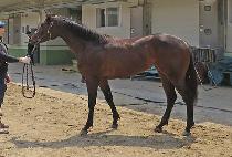 ���۽�ī�� (GEOLJAK SKY) ����