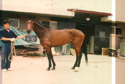 �ֹ� ����