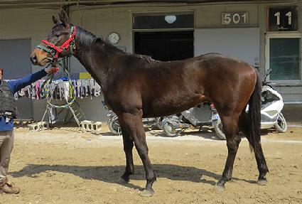 �������丮 ����