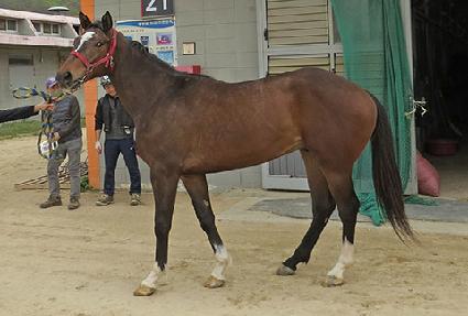 ���ǿ�� ����