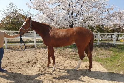 �ٸ������� ����