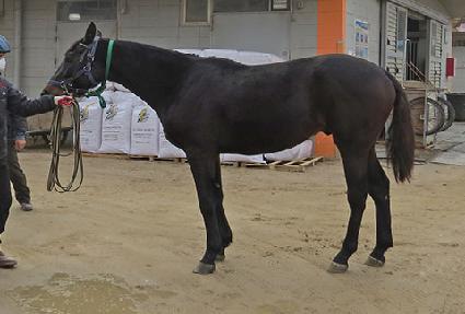 �������� ����