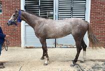 ����м����� (USEUNGPASSIONIJI) ����