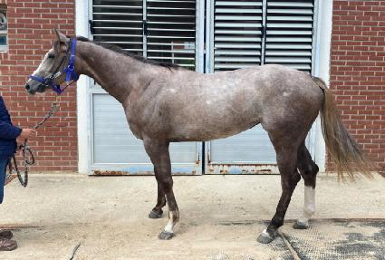 ����м����� ����