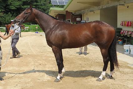 ������� ����