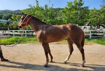 ���Ⱥ��� (BAEKPAL BOEUN) ����