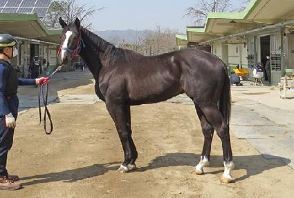 �츶���� ����