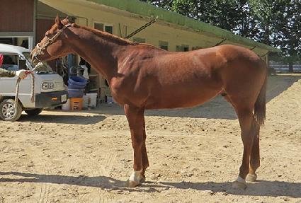 ������Ű ����