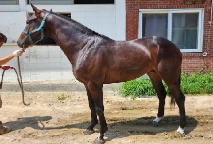 �������� ����