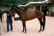 �ص��¾�� (HAEDONNEUN EONDEOK) ����