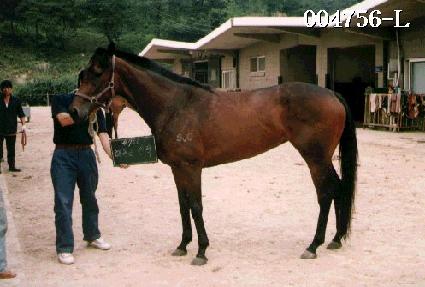 �ص��¾�� ����