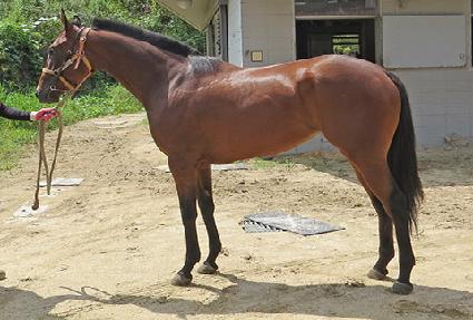 Ʈ���ÿ��̽� ����