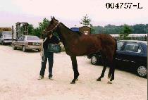 ������ (O RYOUK DO) ����