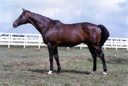 ���巯�� ����