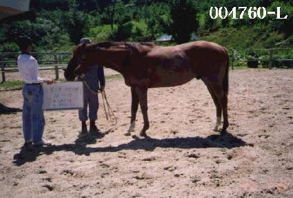 �̽��;Ƶ���� ����