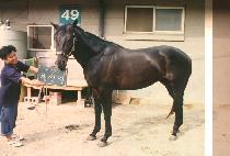 �༱�� (HAENG SEON JI) ����