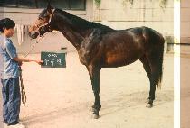 ����� (SU MOK WON) ����