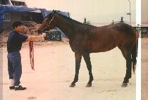 ��õ�� (SIN CHEON ONG) ����