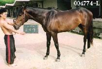 ���縮 (O SA RI) ����