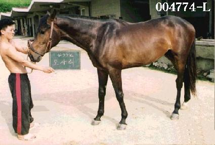 ���縮 ����