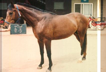 ��� ����