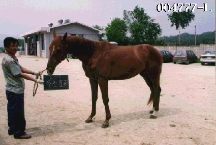 ����ȣ�� ����