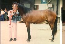 �������� (YOOK BEOP JEON SEO) ����