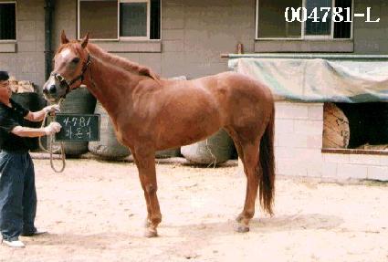 ������ ����