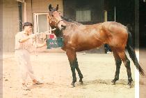 �����̽� (GOOD CHOICE) ����