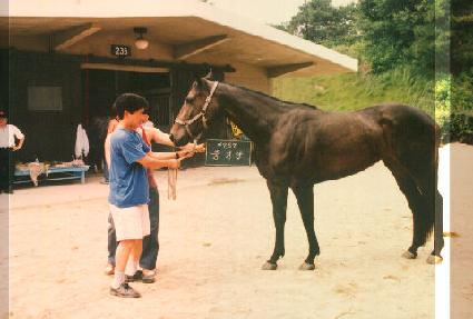 �߾�ž ����