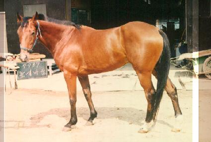 �����ٶ� ����