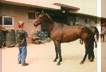 �䷯���̺� (BEAUREWAVE) ����