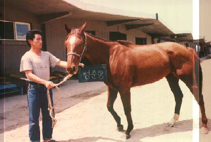 ������ ����