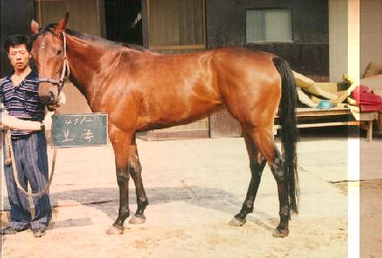 ���� ����