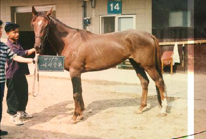 ����Ŭ�� ����