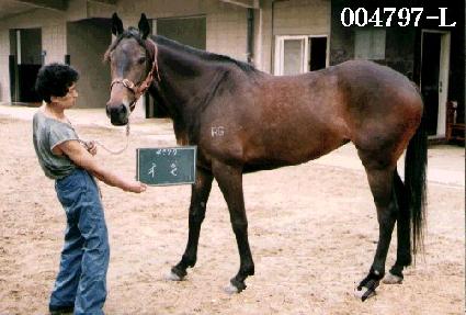 ���� ����