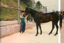 õ�� (CHEUN HAENG) ����