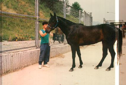 õ�� ����